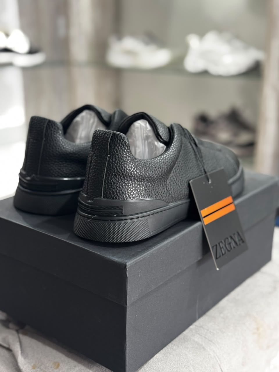 Zegna Clásicos